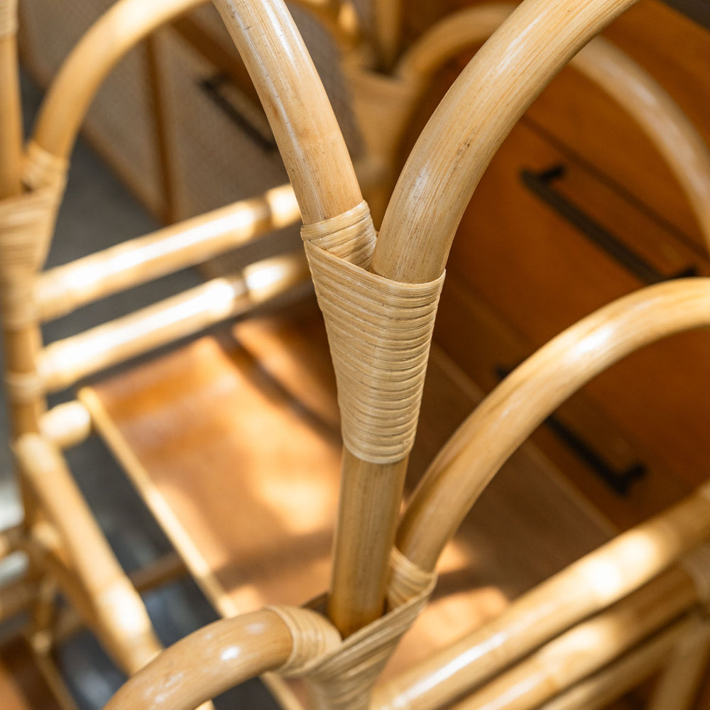 Leon Montessori Learning Tower