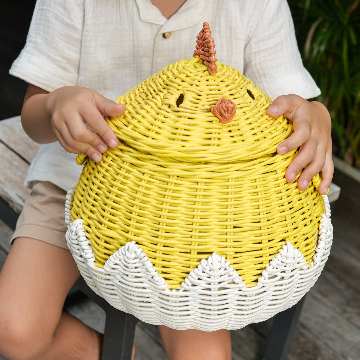 Chick Storage Basket