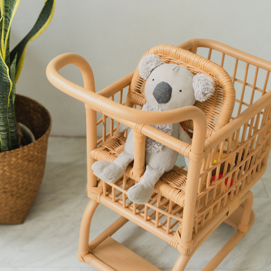 Kids Shopping Cart