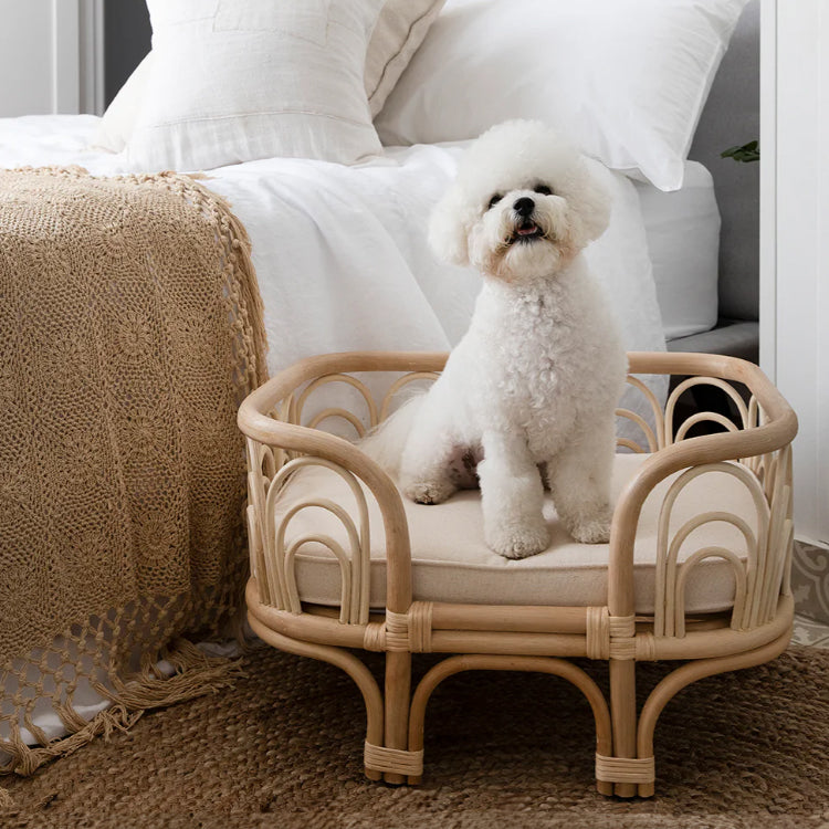 Tempat Tidur Hewan Peliharaan Amber - Kecil